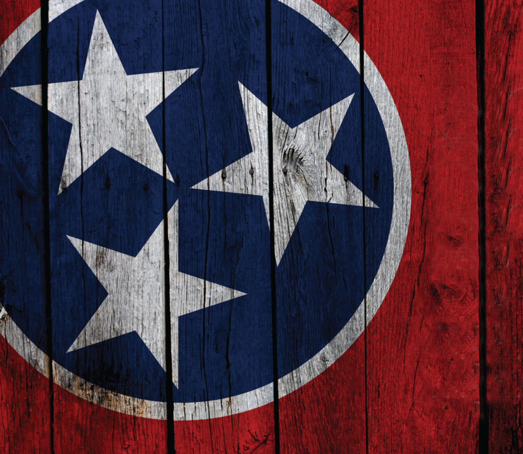 Tennessee Tristar Painting on Wood