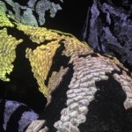 A close-up of an abstract, twisting surface covered in reflective, scale-like textures with patches of yellow, white, and silver colors against a dark background.