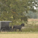 Photographed from a distance, this scene of an Amish horse and carriage in Middle Tennessee gives the viewers glimpse into a simple life.