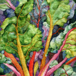 Swiss chard is one of a series of eleven paintings commemorating a garden harvest.