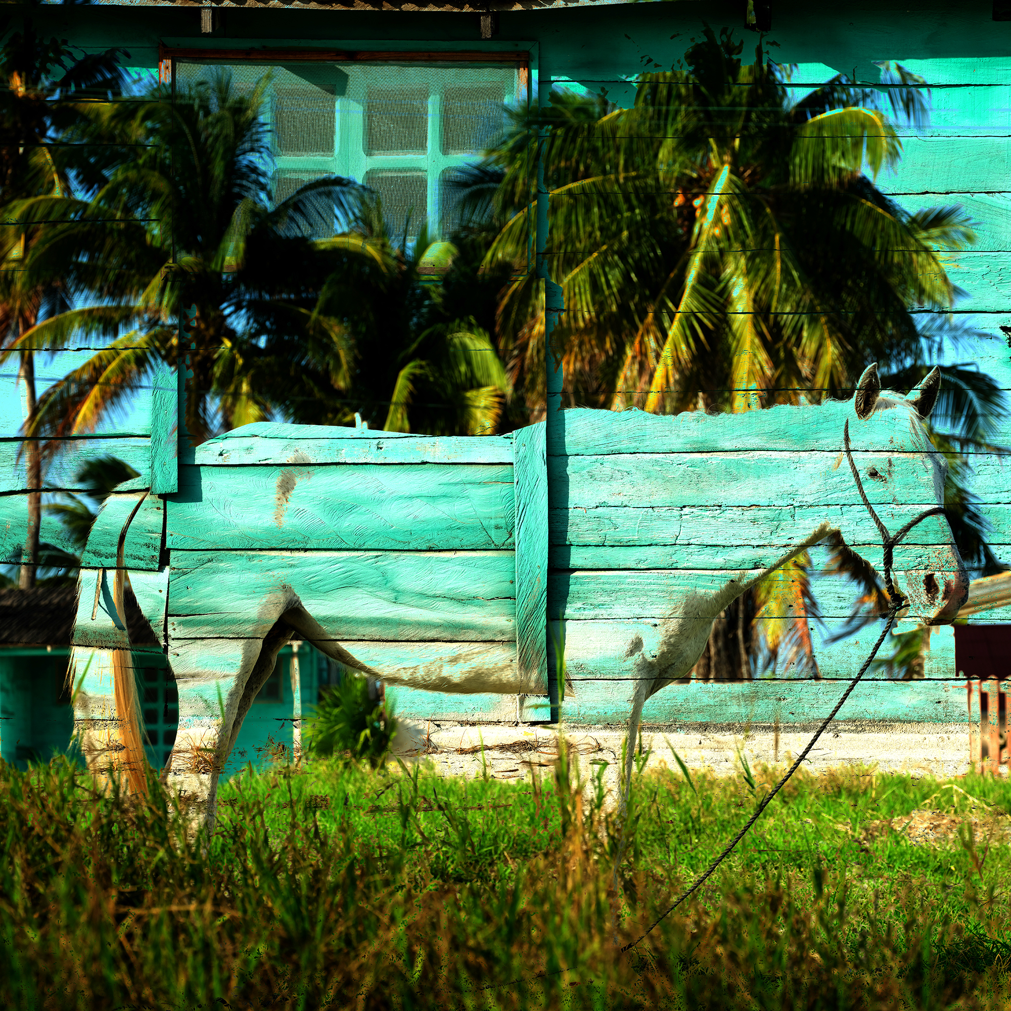 Jonathan, El Cuyo, Mexico, 2022, digital photo