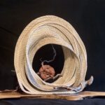 Seagrass coiling around contorted filbert, lichen and Pine cone on Black Walnut base, 24 x 26 x 12 inches